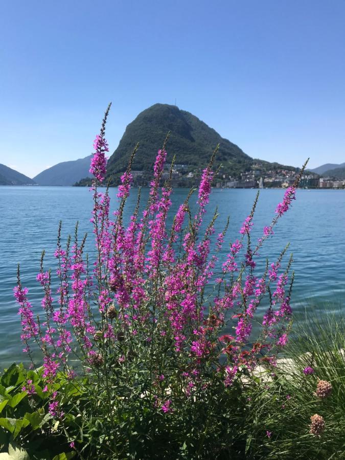Connie S Home Free Parking Lugano Esterno foto